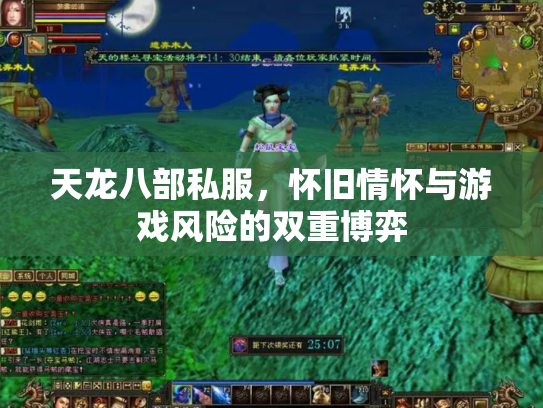 天龙八部私服，怀旧情怀与游戏风险的双重博弈