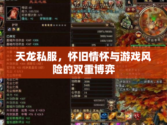天龙私服，怀旧情怀与游戏风险的双重博弈