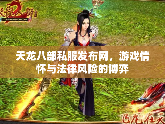 天龙八部私服发布网，游戏情怀与法律风险的博弈
