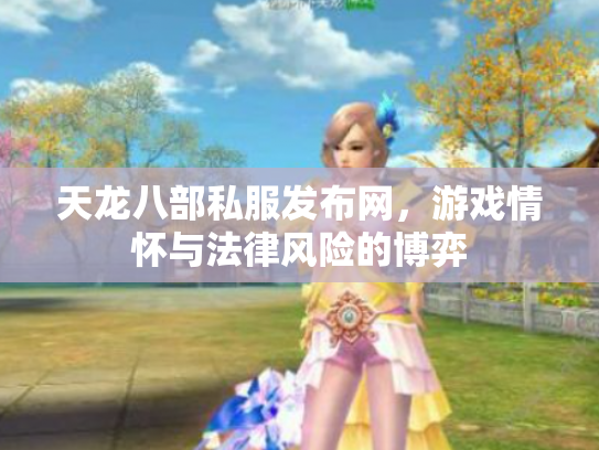 天龙八部私服发布网，游戏情怀与法律风险的博弈