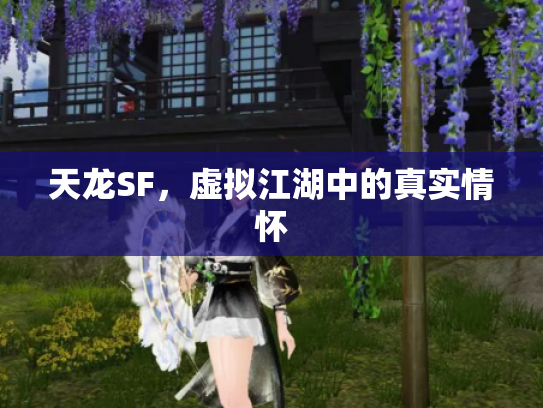 天龙SF，虚拟江湖中的真实情怀