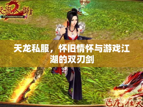 天龙私服，怀旧情怀与游戏江湖的双刃剑