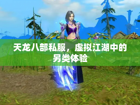 天龙八部私服，虚拟江湖中的另类体验