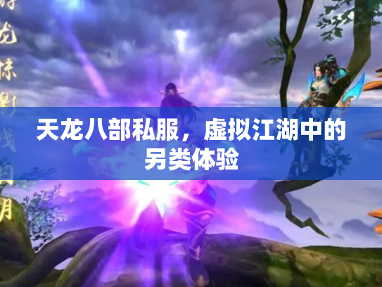 天龙八部私服，虚拟江湖中的另类体验