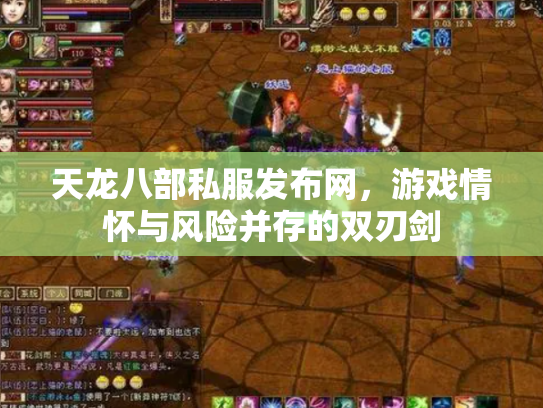 天龙八部私服发布网，游戏情怀与风险并存的双刃剑