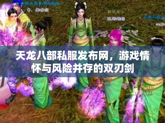 天龙八部私服发布网，游戏情怀与风险并存的双刃剑