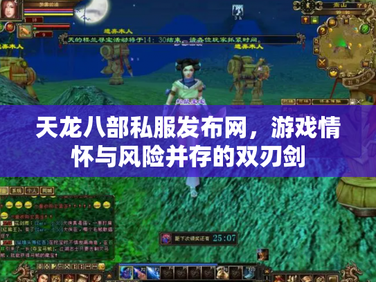 天龙八部私服发布网，游戏情怀与风险并存的双刃剑