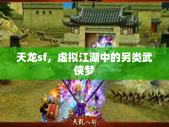天龙sf，虚拟江湖中的另类武侠梦