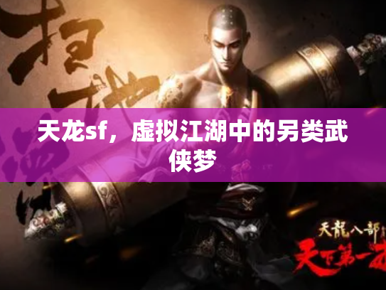 天龙sf，虚拟江湖中的另类武侠梦