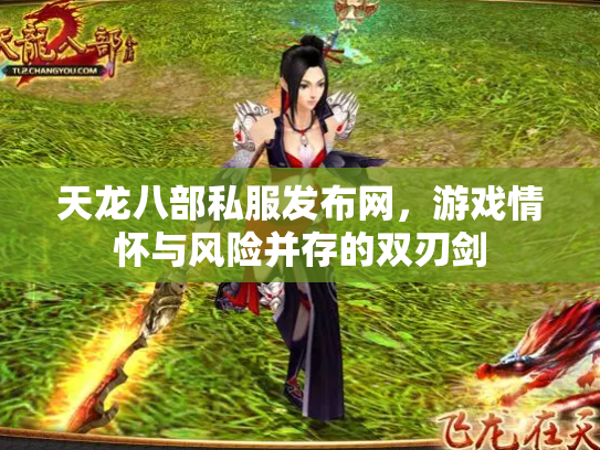 天龙八部私服发布网，游戏情怀与风险并存的双刃剑