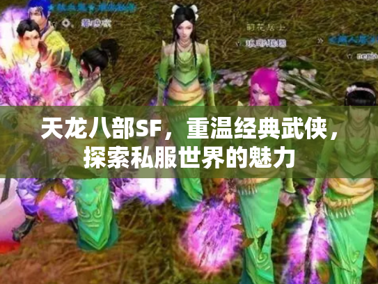 天龙八部SF，重温经典武侠，探索私服世界的魅力