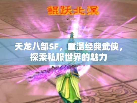 天龙八部SF，重温经典武侠，探索私服世界的魅力