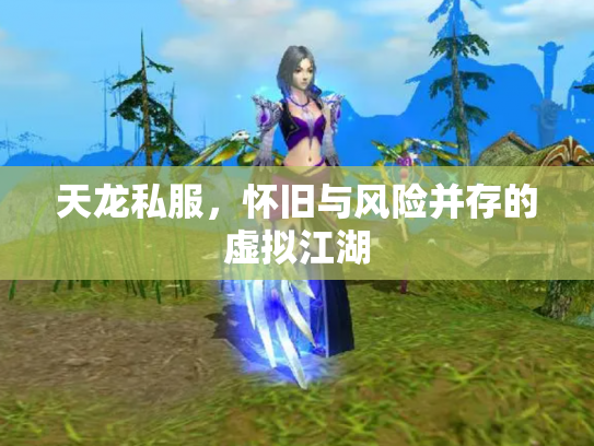 天龙私服，怀旧与风险并存的虚拟江湖