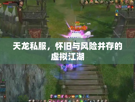 天龙私服，怀旧与风险并存的虚拟江湖