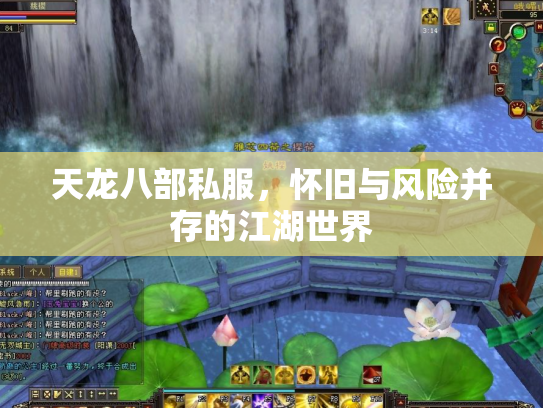 天龙八部私服，怀旧与风险并存的江湖世界