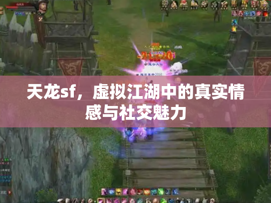 天龙sf，虚拟江湖中的真实情感与社交魅力