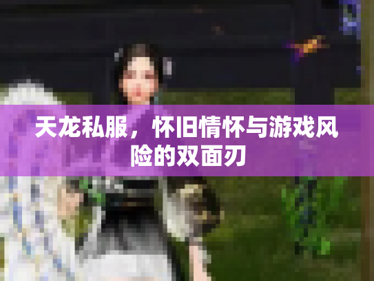 天龙私服，怀旧情怀与游戏风险的双面刃