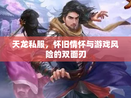 天龙私服，怀旧情怀与游戏风险的双面刃