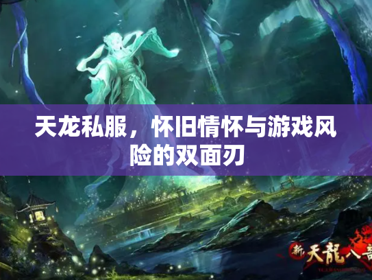 天龙私服，怀旧情怀与游戏风险的双面刃
