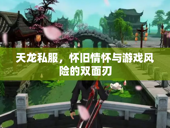 天龙私服，怀旧情怀与游戏风险的双面刃