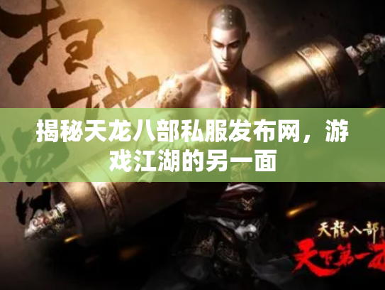 揭秘天龙八部私服发布网，游戏江湖的另一面