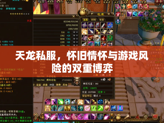 天龙私服，怀旧情怀与游戏风险的双重博弈