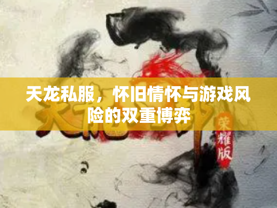 天龙私服，怀旧情怀与游戏风险的双重博弈