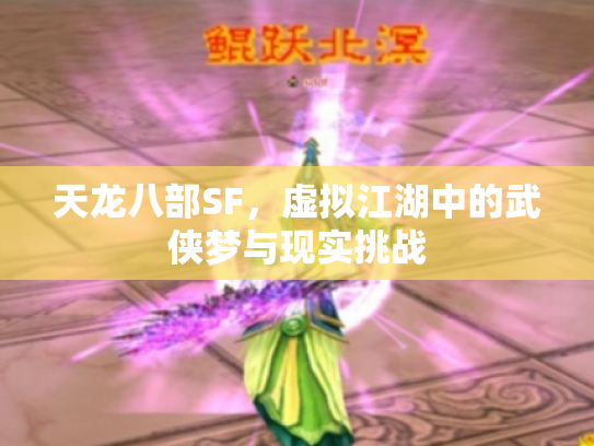 天龙八部SF，虚拟江湖中的武侠梦与现实挑战