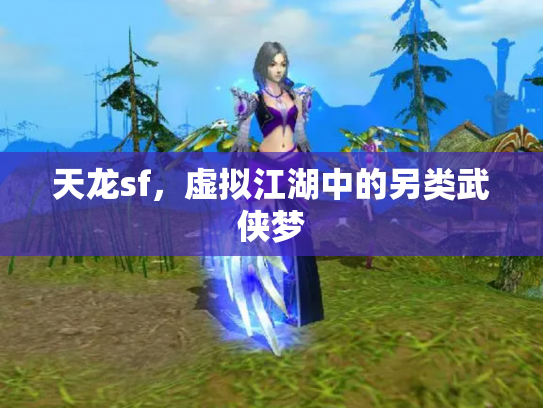 天龙sf，虚拟江湖中的另类武侠梦