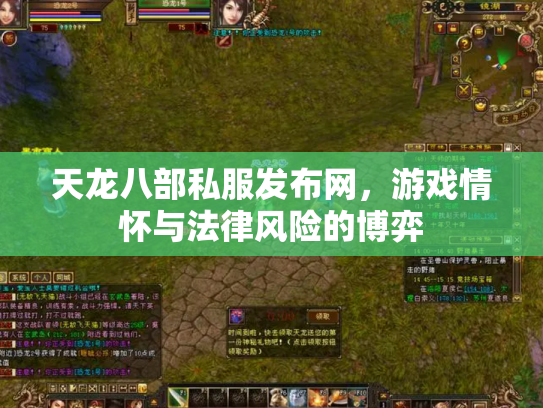 天龙八部私服发布网，游戏情怀与法律风险的博弈