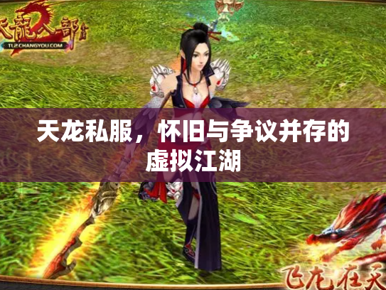 天龙私服，怀旧与争议并存的虚拟江湖