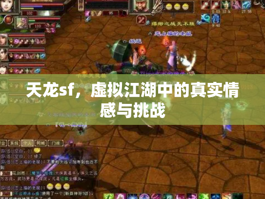 天龙sf，虚拟江湖中的真实情感与挑战