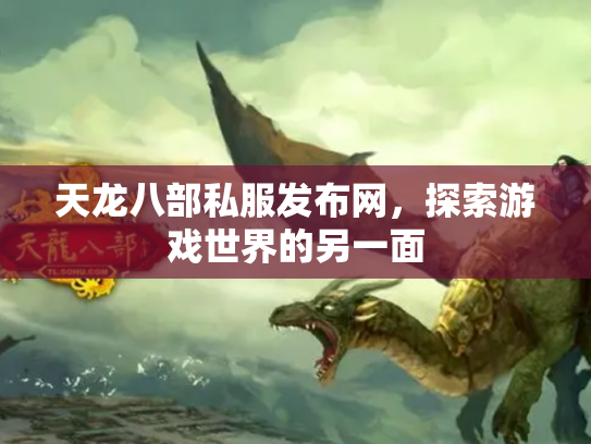 天龙八部私服发布网，探索游戏世界的另一面
