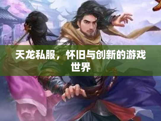 天龙私服，怀旧与创新的游戏世界