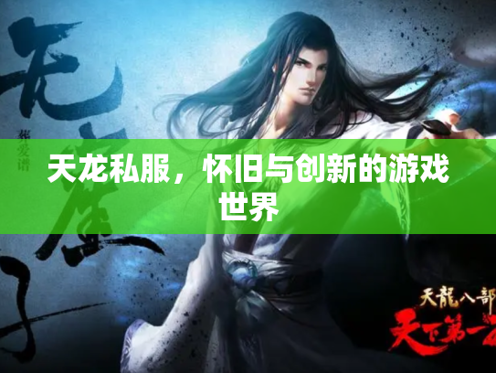 天龙私服，怀旧与创新的游戏世界