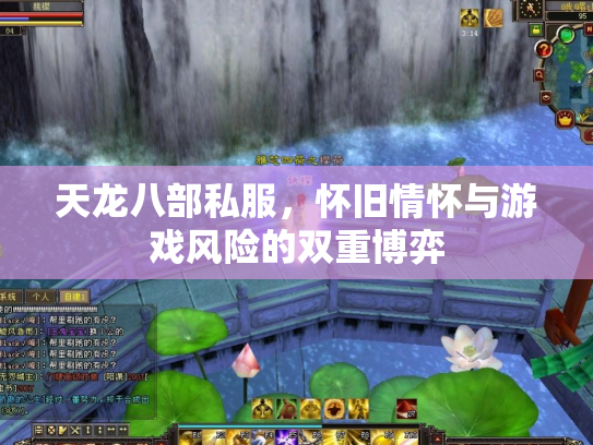 天龙八部私服，怀旧情怀与游戏风险的双重博弈