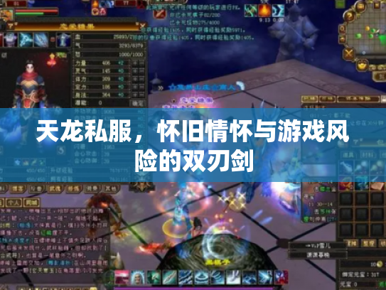 天龙私服，怀旧情怀与游戏风险的双刃剑