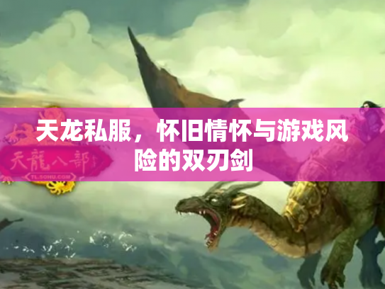天龙私服，怀旧情怀与游戏风险的双刃剑