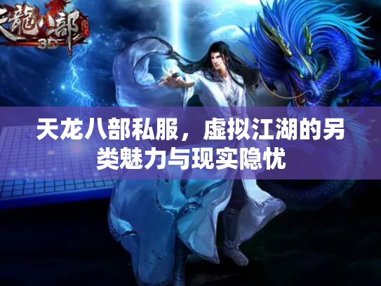 天龙八部私服，虚拟江湖的另类魅力与现实隐忧