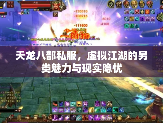 天龙八部私服，虚拟江湖的另类魅力与现实隐忧