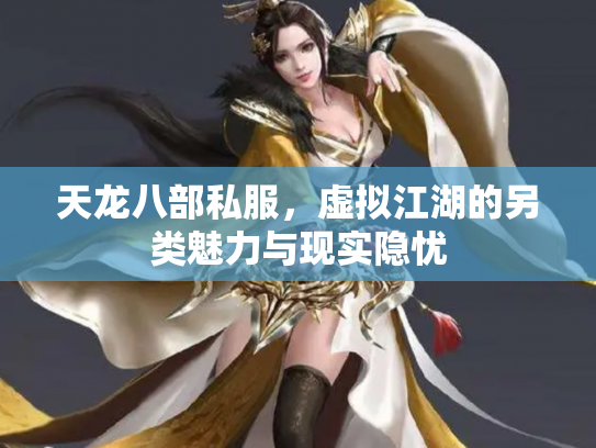 天龙八部私服，虚拟江湖的另类魅力与现实隐忧