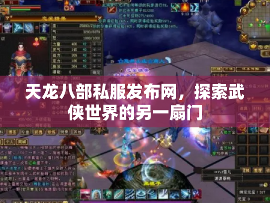 天龙八部私服发布网，探索武侠世界的另一扇门