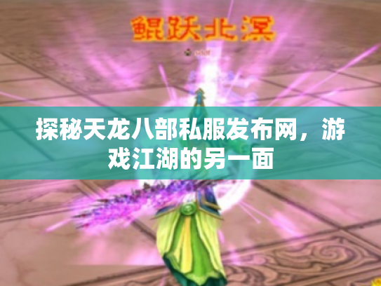 探秘天龙八部私服发布网，游戏江湖的另一面