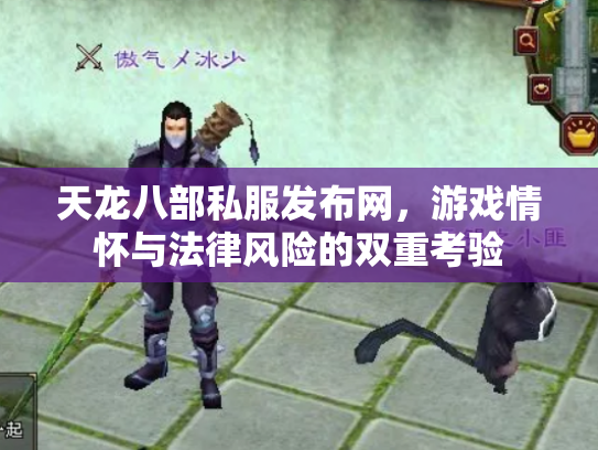 天龙八部私服发布网，游戏情怀与法律风险的双重考验