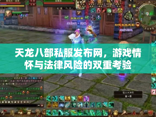 天龙八部私服发布网，游戏情怀与法律风险的双重考验