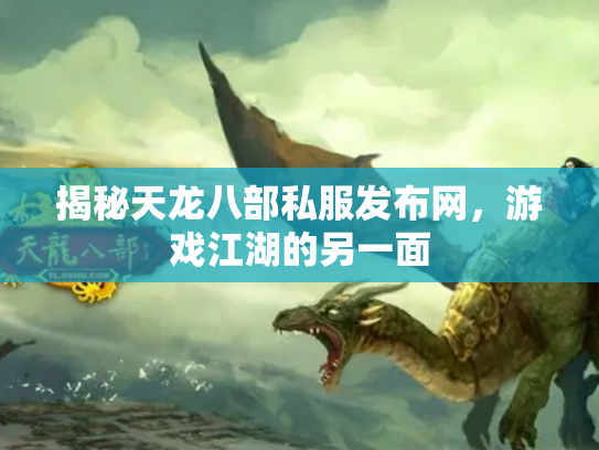 揭秘天龙八部私服发布网，游戏江湖的另一面