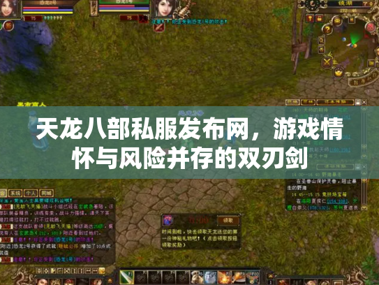 天龙八部私服发布网，游戏情怀与风险并存的双刃剑