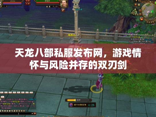 天龙八部私服发布网，游戏情怀与风险并存的双刃剑