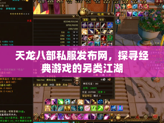 天龙八部私服发布网，探寻经典游戏的另类江湖