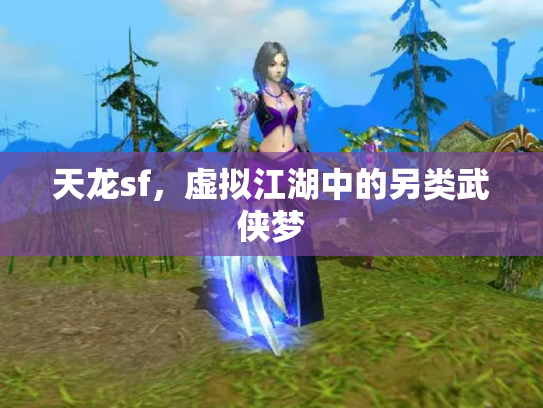 天龙sf，虚拟江湖中的另类武侠梦
